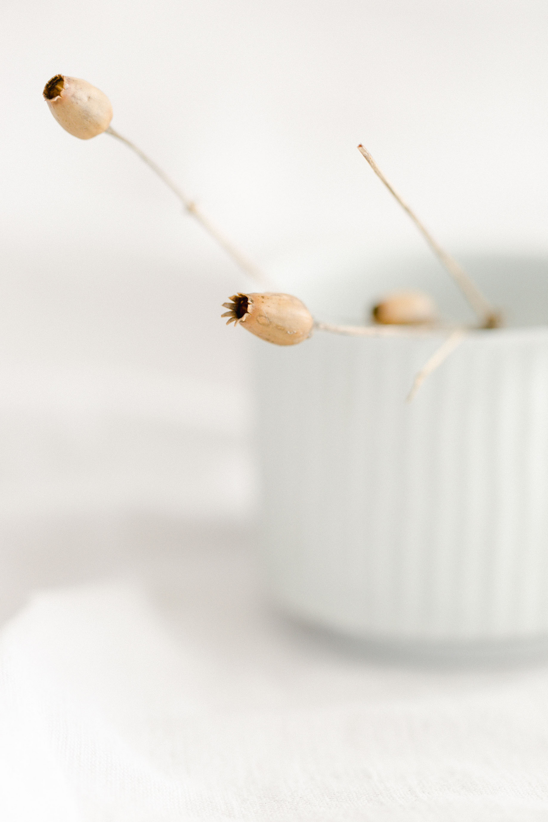 Poterie Hélène Bénéteau